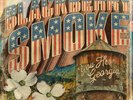 Blackberry Smoke You Hear Georgia 2LP Coloured Vinyl 3 Legged Records 3LG14LP