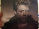 Bryan Adams Reckless Vinyl LP 1984 A&M Records SP-5013 Translucent Brown VG+/EX