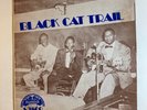 BLACK CAT TRAIL   MAMLISH LP   BLUES COMP   1970 1ST PRESS