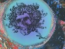 Grateful Dead Live At Winterland 12/31/1971 New SEALED 1971 RSD Vinyl Import
