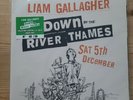 Liam Gallagher Down By The River Thames Collectors Edition Green Vinyl Sealed...