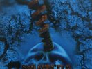 PANTERA 'Far Beyond Driven' Ltd. Edition MARBLE WHITE/BLUE Vinyl LP SEALED