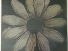 Cardiacs Is This The Life 12” Vinyl Single Record Very Good + Free Post