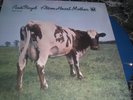 PINK FLOYD  ATOM HEART MOTHER  COLOR VINYL LP