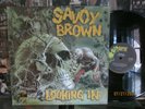 Savoy Brown Lp Looking Up Ex to Nr Mint Disc