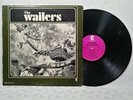 The Wailers - Out of Our Tree LP vinyl *slight edge warp* garage punk ALB 026
