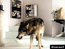 GRINDERMAN - GRINDERMAN 2