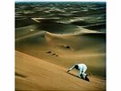 BAXTER DURY - PRINCE OF TEARS