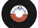 WINSTON WRIGHT -MOONLIGHT GROOVER - SENSATIONS - EVERYDAY IS JUST A HOLIDAY -7''