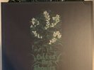 Cultes Des Ghoules - Henbane - 2x Splatter Vinyl Record LP - OOP RARE