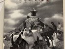 RUSH PRESTO RECORDS ROCK ORIGINAL ATLANTIC  LP INNER SLEEVE
