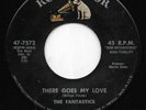 THE FANTASTICS 45RPM '58 RCA VICTOR THERE GOES MY LOVE KILLER DOO WOP BALLAD
