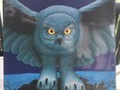 RUSH - FLY BY NIGHT UK 1ST PRESS INSERT VINYL LP RECORD 1975 Mercury ?9100 013