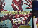 TRIPPING DAISY - Piranha   12