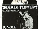 SHAKIN STEVENS JUNGLE ROCK RARE 7 INCH SINGLE FROM PORTUGAL, ON WARM LABEL