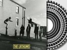 THE LATHUMS - HOW BEAUTIFUL LIFE CAN BE BLOOD RECORDS ZOETROPE PIC DISC PRESALE