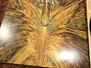 cynic focus vinyl