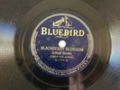 COUNTRY ARTHUR SMITH Bluebird 5896  Blackberry Blossom/SMith Waltz E+