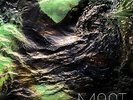 Moat - Poison Stream [Used Very Good Vinyl LP]