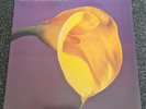 SWANS - The burning world -1989