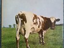 Pink Floyd Atom Heart Mother Gatefold LP 1970 UK First Issue Harvest SHVL 781