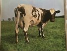 Pink Floyd - Atom Heart Mother LP (Harvest 1C 072-04550) 1974