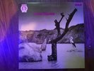 Tonton Macoute - VG Tonton Macoute UK vinyl LP album record NE4 NEON 1971