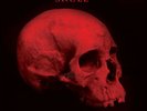 Bloodred 180 gram 12