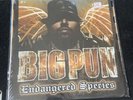 Big Pun Endangered Species vinyl records