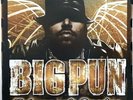 EX+ / Big Pun / Endangered Species US 2LP / Fat Joe Beatnuts 90's NY Classic Rap