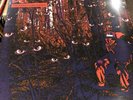 I Wish My Brother George Was Here by Del the Funky Homosapien (Record, 2004)