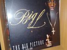 BIG L THE BIG PICTURE VINYL LP ALBUM MINT ? ditc ny hip hop rap vintage