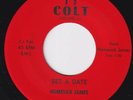 HOMESICK JAMES Set A Date / Can't Afford To Do It RARE M- US blues 45 LISTEN