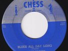 JIMMY ROGERS JIMMIE Blues All Day Long STUNNING orig US 45 You're The One HEAR