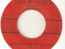THE UNLUVD Aint Gonna Do You No Harm Exception Rule TRUE LOVE NORTHERN SOUL 45