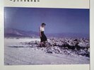 Pinback Blue Screen Life Vinyl 2001 ace fu records Double LP Clear Vinyl