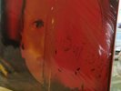 Alice In Chains- Jar of Flies/Sap Vinyl 2 LP Import Gatefold 2010 Sealed