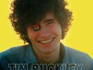 Tim Buckley - Goodbye And Hello Heavy Vinyl Mono LP - Used - Mint - FREE POST