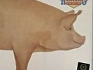 HOMBRES G-“ESTAMOS LOCOS O QUE?-33 RPM 1987 CBS-FREE Shipping In USA