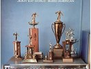 JIMMY EAT WORLD - BLEED AMERICAN - Vinyl Record - 8200