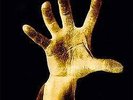 New Music System Of A Down 