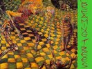 New Music Screaming Trees 