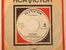 ELVIS PRESLEY Roustabout / One Track Heart RCA SP-45-139 RADIO STATION PROMO