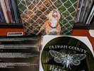 Knocked Loose - POP CULTURE - Swamp Green Colored Etched Vinyl EP LP VG