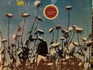 The Creatures Boomerang LP [EXCELLENT CONDITION] [HYPE STICKER] GHS 24275