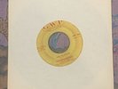 The Hesitations - Yes I'm Ready / Is This The Way You Treat A Girl 7