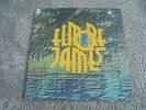 Elmore James - To Know A Man 1969 UK DOUBLE LP BLUE HORIZON 1st
