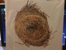 sealed album wilco-a ghost is born on nonesuch-2lp  fr.2004