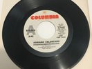 Promo ADRIANO CELENTANO Prisencolinensinainciusol Disc Jockey 45 Funk Soul