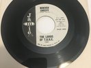 Rare Garage Rock Psych Unknown The Lords Of T.O.N.K Miniver Cheevy